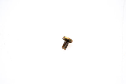 OMC 312852 Valve Screw NOS