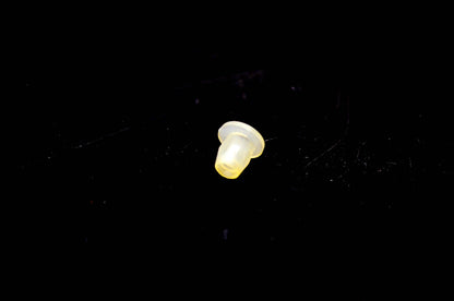 OMC 204708 Retainer NOS