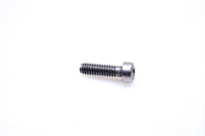 OMC 317969 Screw NOS