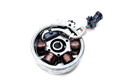 Piaggio 639884N, 58136R Stator Magnet