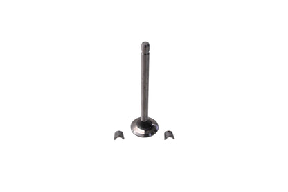New OEM Briggs & Stratton 691794, 9845 Exhaust Valve Kit NOS