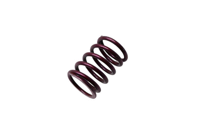 New OEM Briggs & Stratton 691597, 9802 Valve Spring NOS