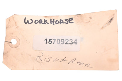 Workhorse 15709234 Rear Brake Caliper Mount Plate NOS