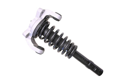 FCS Auto FCS1335532L Front Left Suspension Strut & Coil Spring Assembly NOS