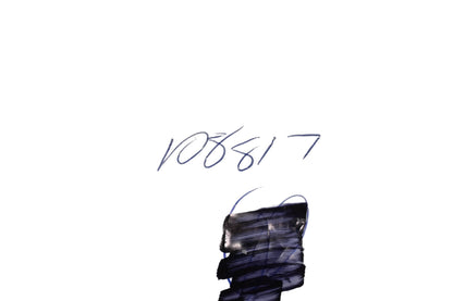 Oregon 108817 Needle Bearing NOS