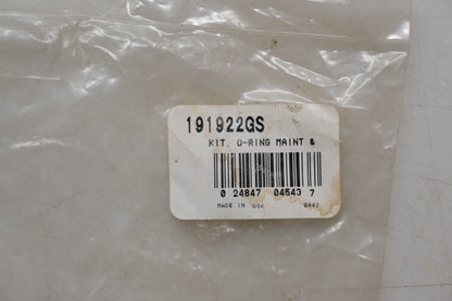 New OEM Briggs & Stratton 191922GS O-ring & Nozzle Maintenance Kit NOS