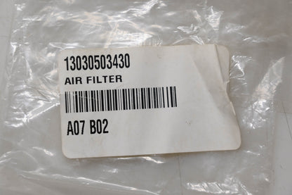 New OEM Echo 13030503430 Air Filter NOS