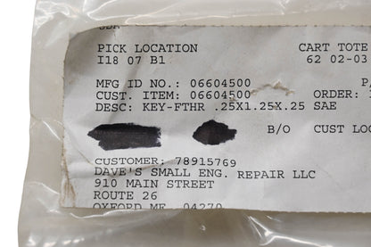 Ariens 06604500 Feather Key NOS