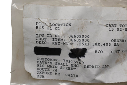 Ariens 06609000 Woodruff Key NOS