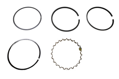 Kohler 231424-S Piston Ring Kit NOS