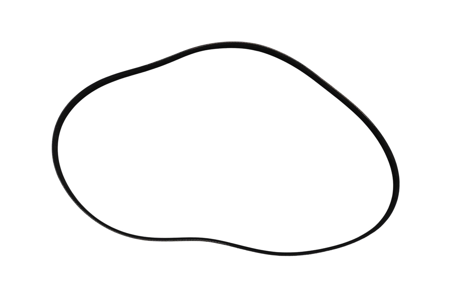 Walker 7248 Replacement Belt NOS