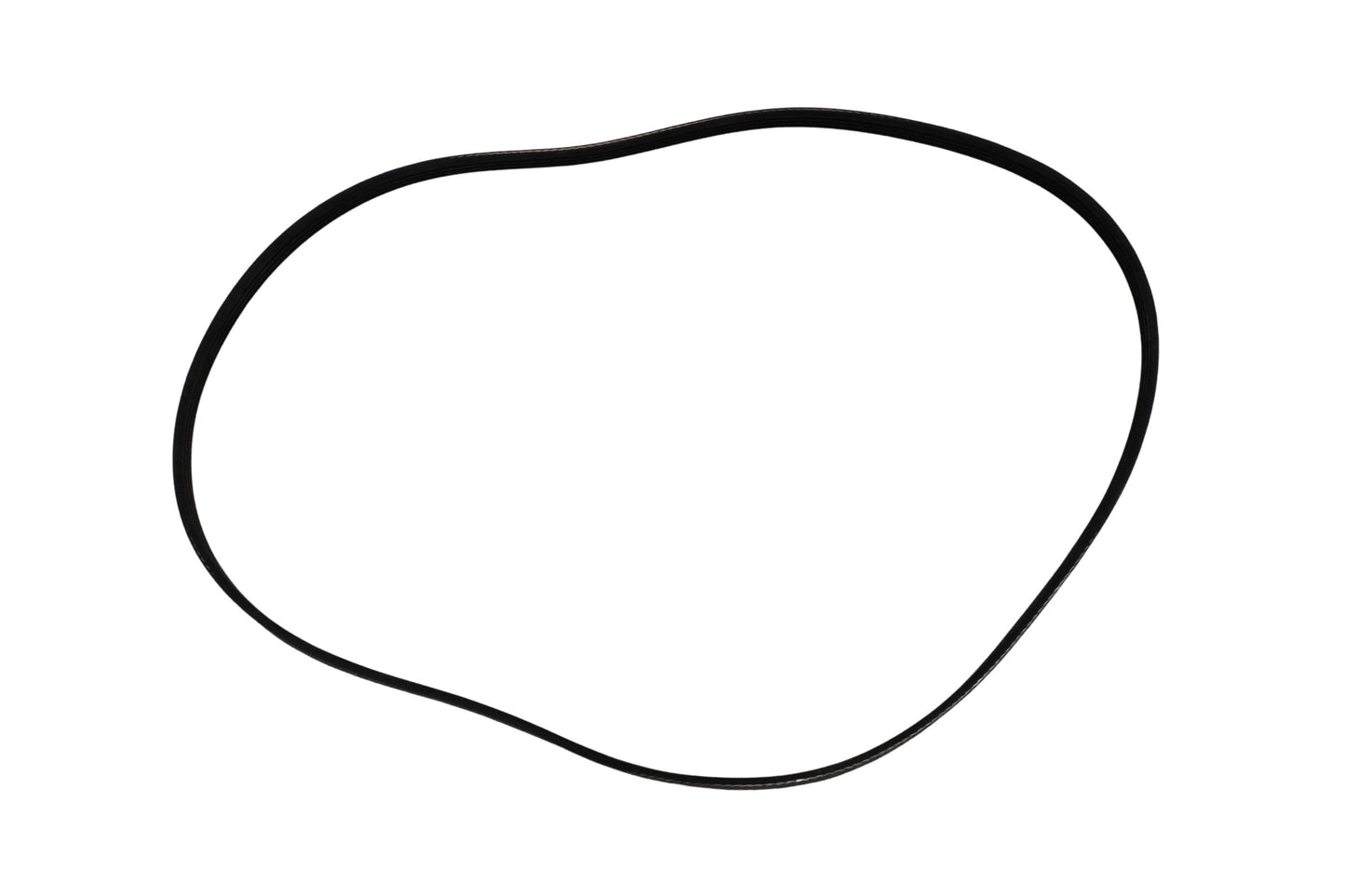 Walker 7248 Replacement Belt NOS