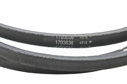 Simplicity 1703836 Belt NOS