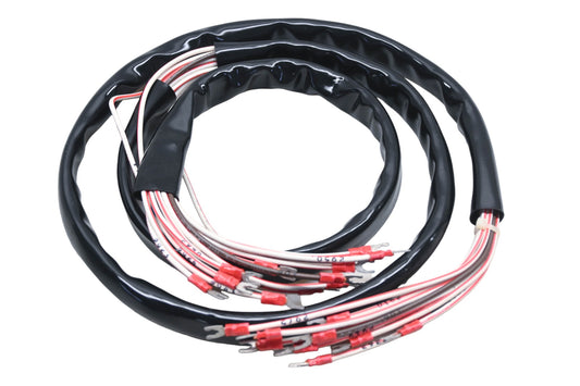 Crown 116523, C80176 Wire Harness NOS