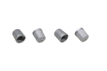 Alligator MS031-1 Gray Plastic Tire Stem Caps Qty 4 NOS