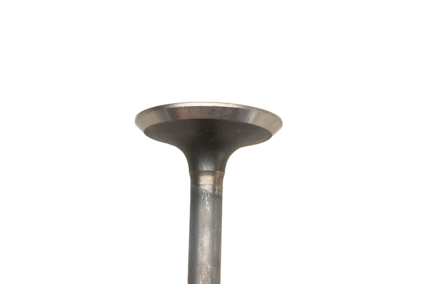 Sealed Power V2201 Exhaust Valve NOS