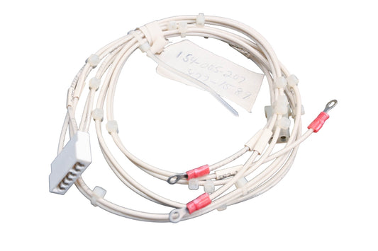 Raymond 154-005-207, 154-010-239 Wiring Harness NOS