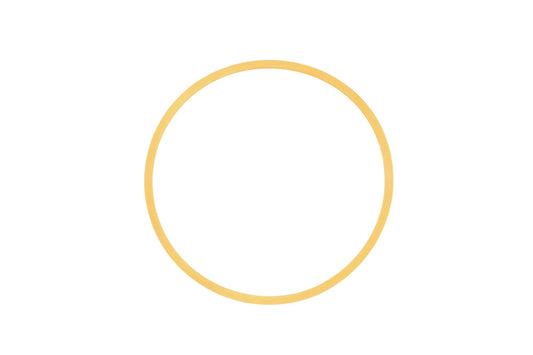 Caterpillar 4J9224, 4J-9224 Back-Up Gasket Ring NOS