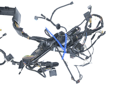 OEM Ford CG1T-14A005-EC, CG1T14A005EC Wiring Assembly