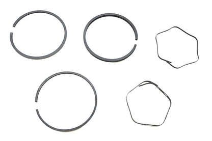 Oregon 36-051, 34854 Ring Kit NOS