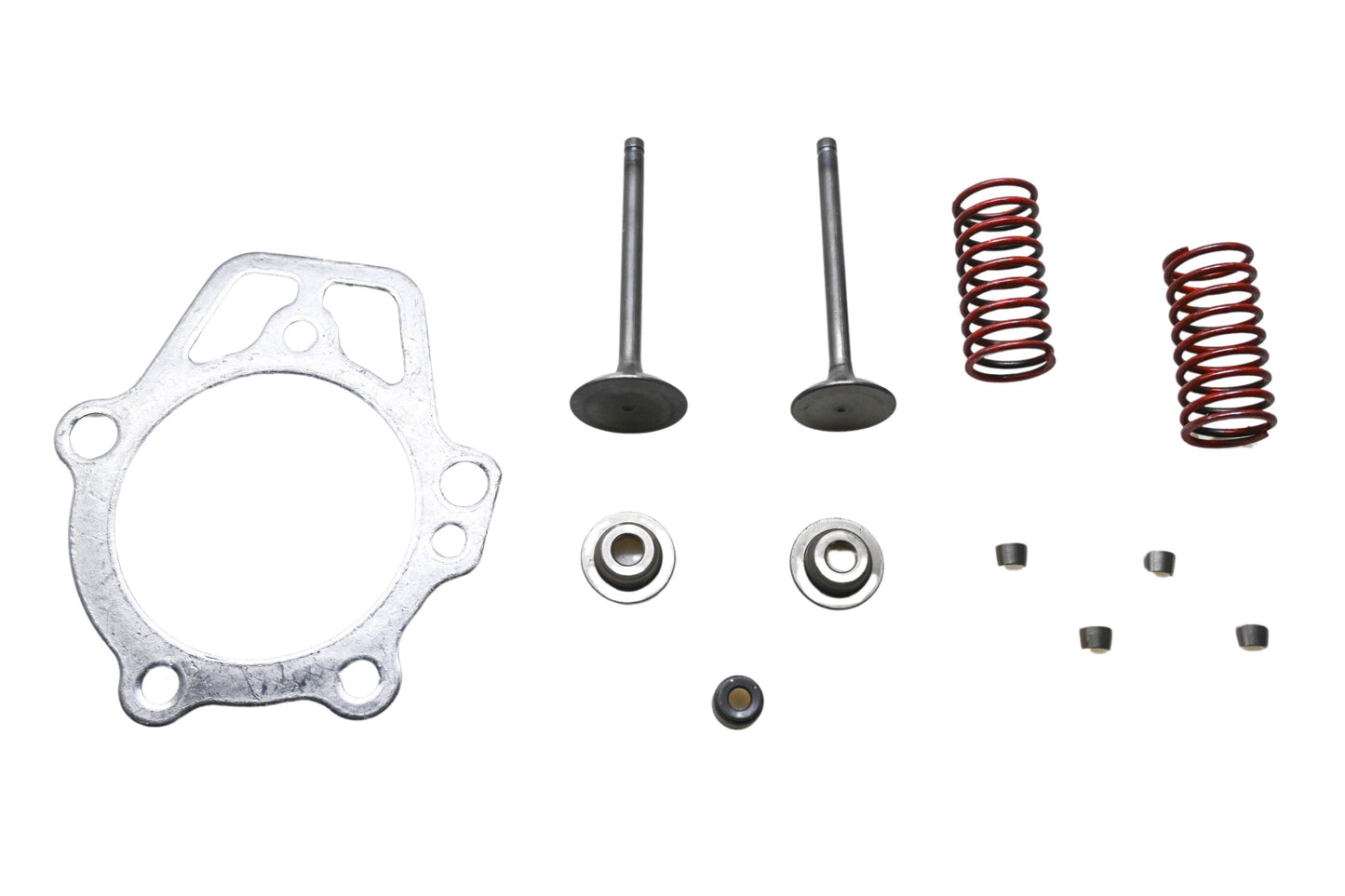 Generac 0D24890ESV Valve Retainer Kit NOS