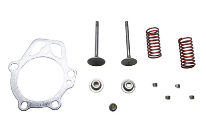 Generac 0D24890ESV Valve Retainer Kit NOS