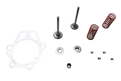 Generac 0D24890ESV Valve Retainer Kit NOS