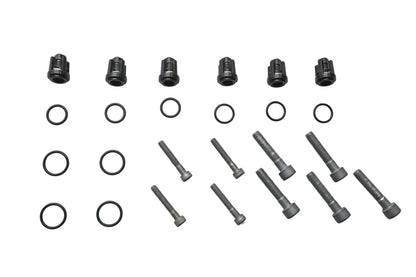 New OEM Briggs & Stratton 193806GS Check Valve Kit NOS