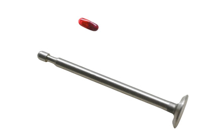 New OEM Briggs & Stratton 212004 Exhaust Valve & Grease Capsule NOS