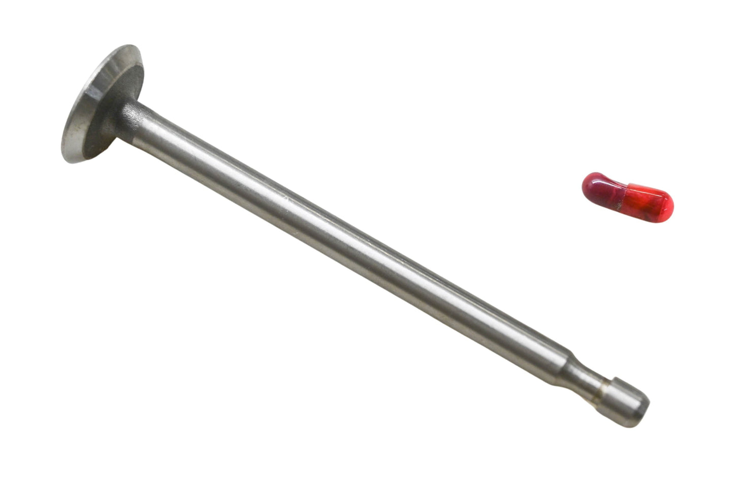 New OEM Briggs & Stratton 212004 Exhaust Valve & Grease Capsule NOS