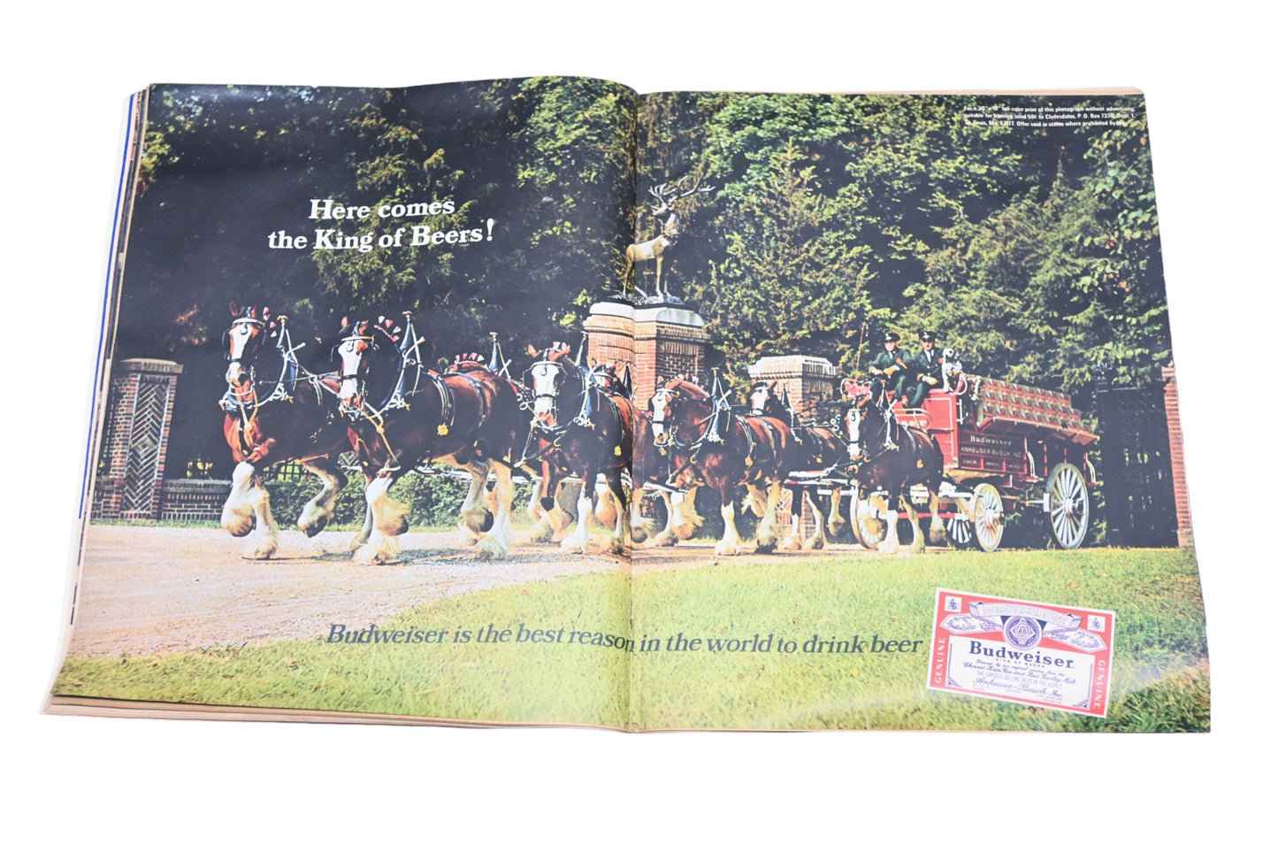 LOOK DK026-1 February 7, 1967 Magazine