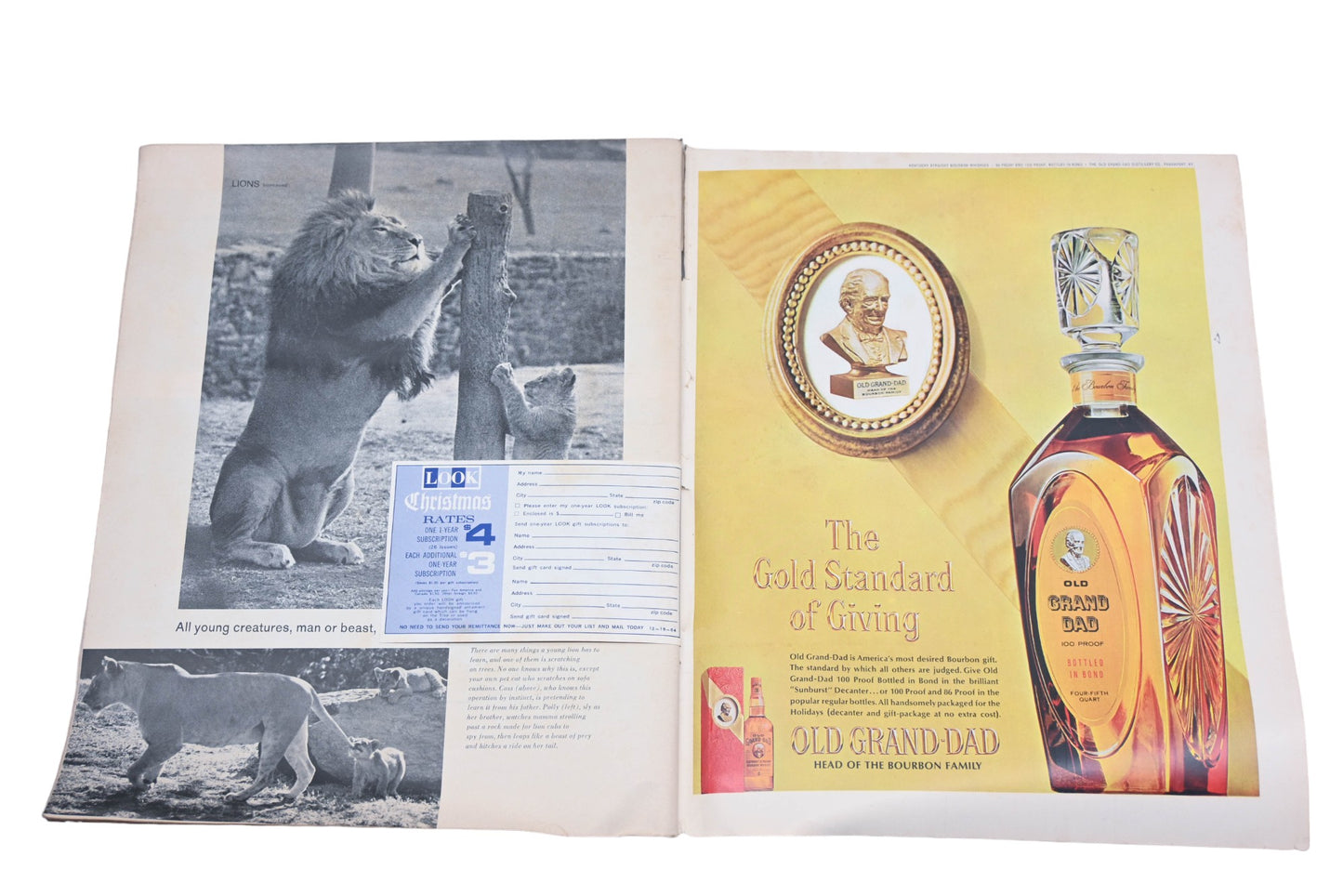 LOOK DK026-2 December 15, 1964 Magazine