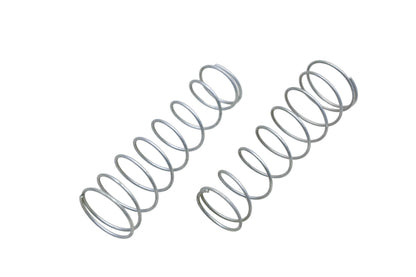 EIS 235XE Master Cylinder Springs Qty 2 NOS