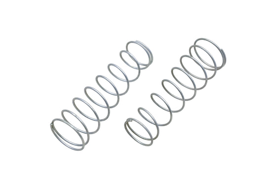 EIS 235XE Master Cylinder Springs Qty 2 NOS