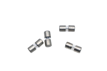 Littelfuse 1AG32V10, 1AG32V 10-Amp 32-Volt Fuses Qty 4 NOS