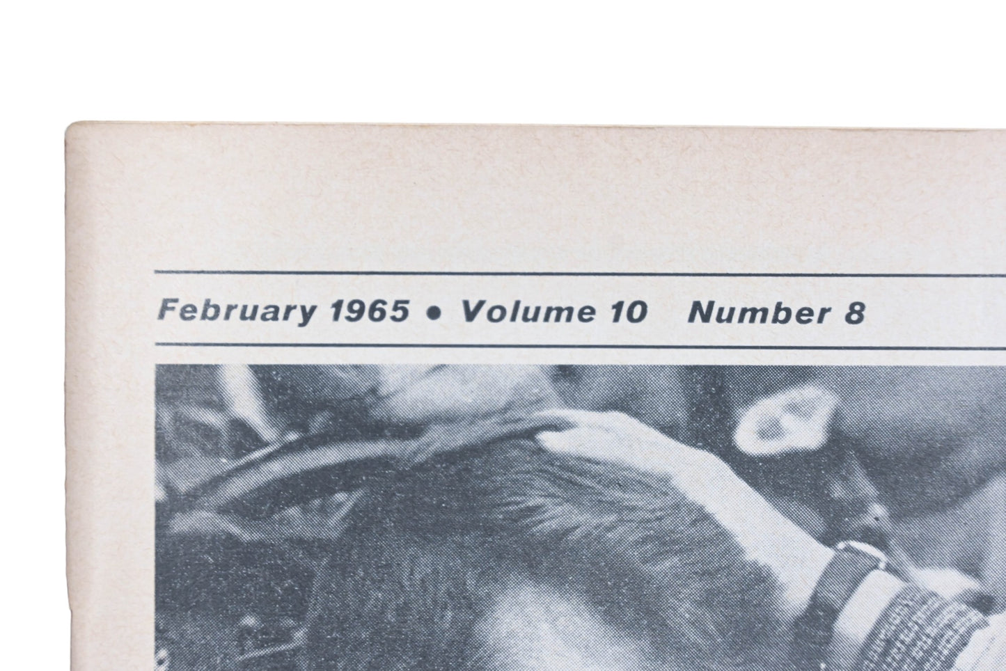 Car And Driver MD038-29 February 1965 Magazine