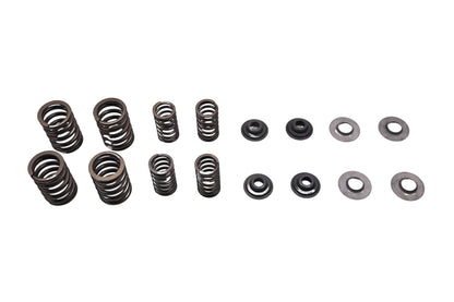 New OEM Polaris 2203414 Valve Spring Kit NOS