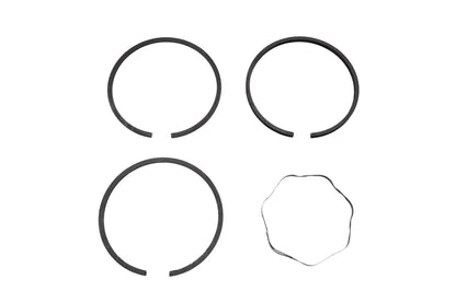 New OEM Briggs & Stratton 391780 Piston Ring Kit NOS