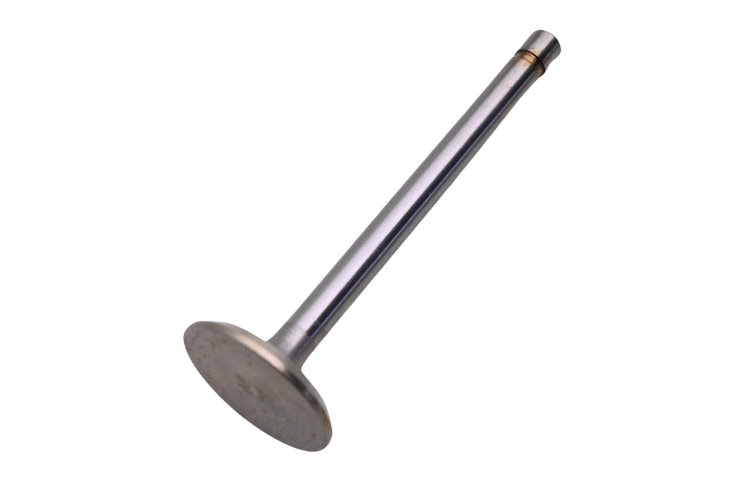 Kohler 230582 Cat Iron Engine Intake Valve NOS