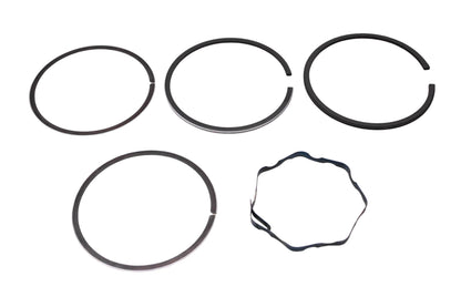 Briggs & Stratton 299743 Ring Kit NOS