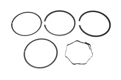 Briggs & Stratton 299743 Ring Kit NOS