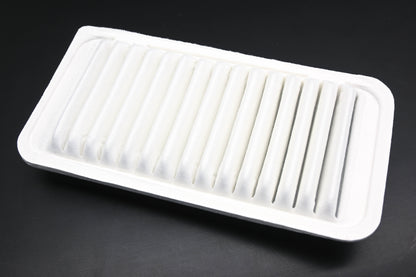 Ecogard XA5463 Air Filter NOS
