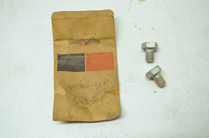 Harley Aermacchi Fork Tube Bolt Leggeros M S Qty 2 NOS