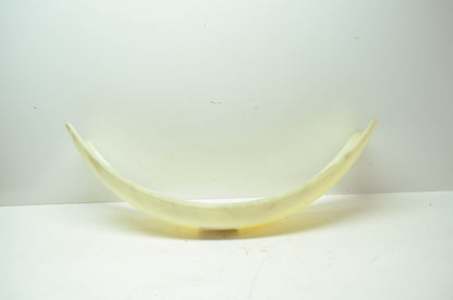 Preston Petty Vintage Harley Rear Fender White NOS