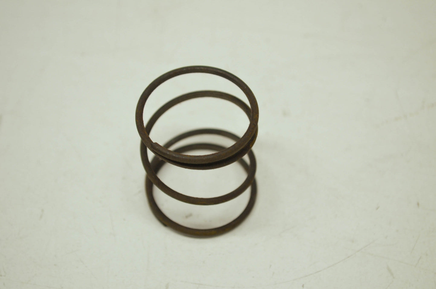 Filter Spring NOS