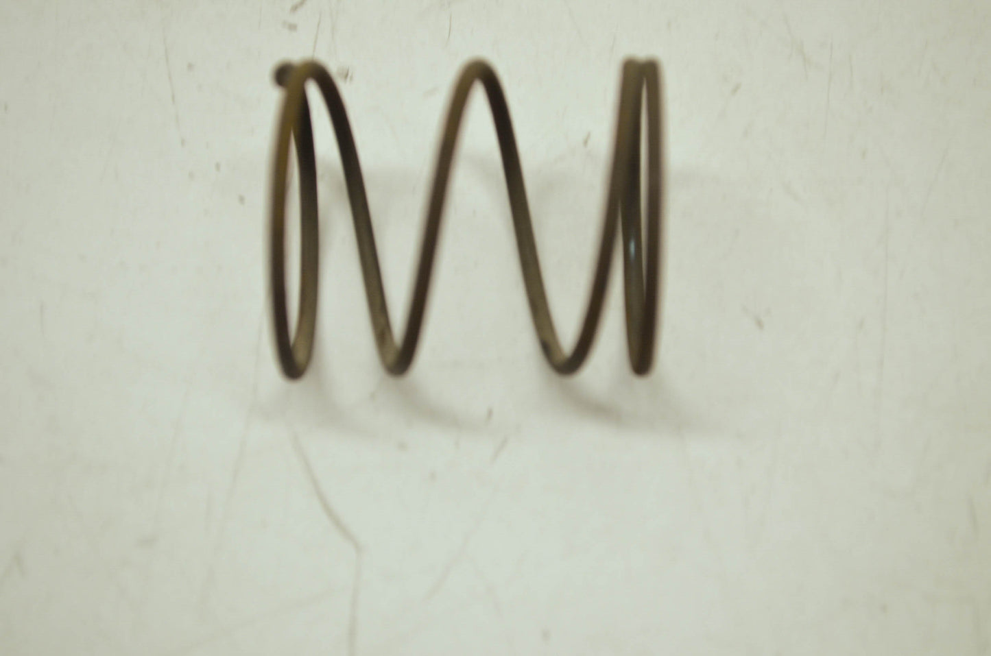 Filter Spring NOS