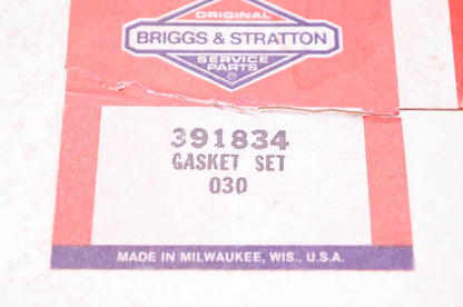 New OEM Briggs & Stratton 391834 Gasket Kit NOS