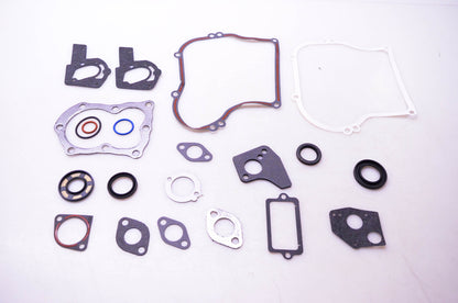 New OEM Briggs & Stratton 495603 Gasket Kit NOS