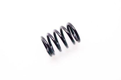 Total Source 44026-L0101 Spring fits Nissan NOS