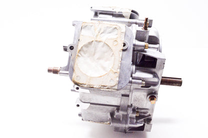 New OEM Briggs & Stratton 2022, ML4 Short Block NOS